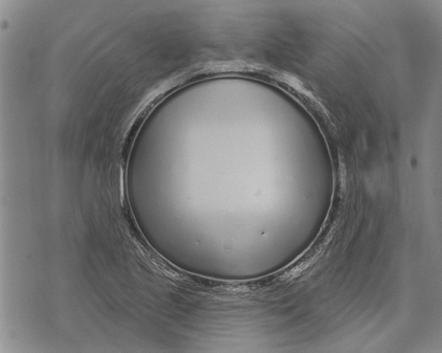 X0000073711221200608311746