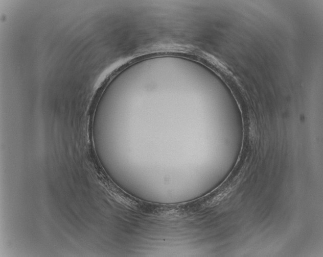 X0000073711222200608311746