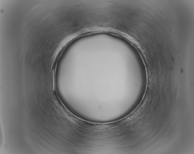 X0000073711223200608311746