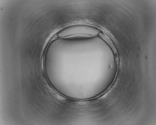 X0000073711224200608311746