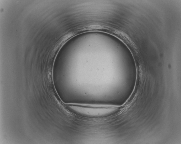 X0000073711225200608311746