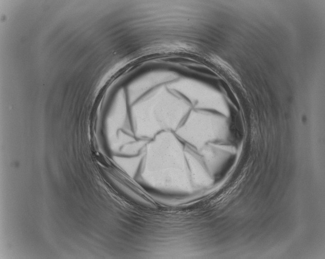 X0000073711226200608311746