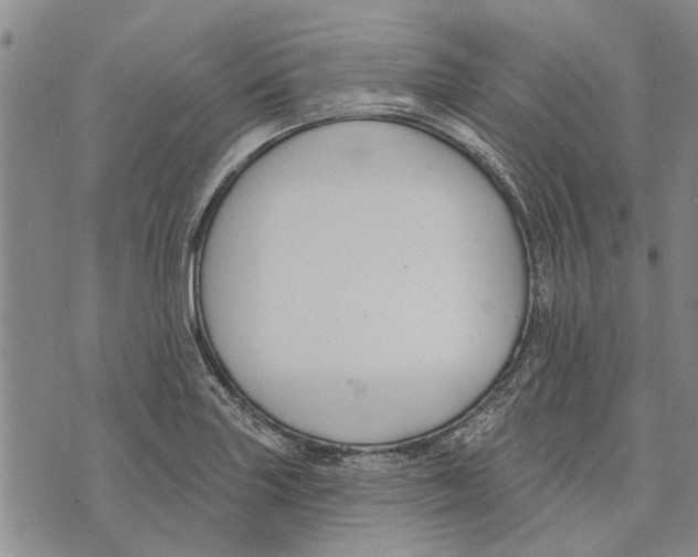 X0000073711227200608311746