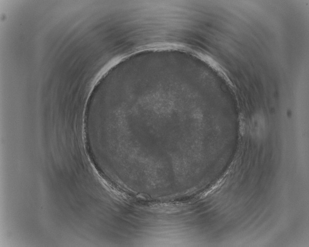 X0000073711229200608311746