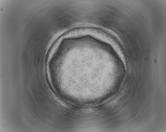 X0000073711231200608311746