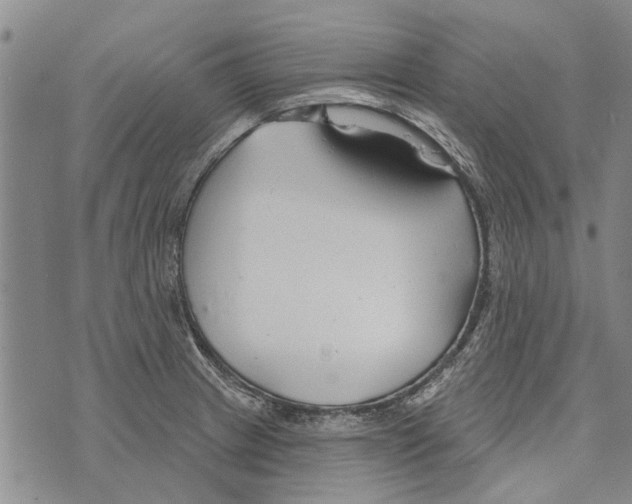 X0000073711233200608311746