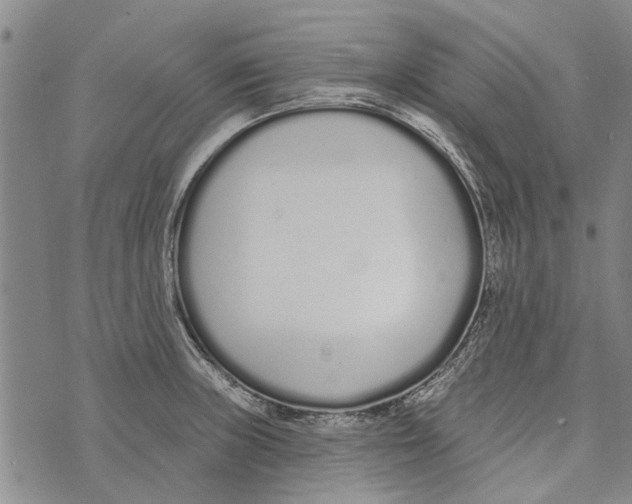 X0000073711235200608311746