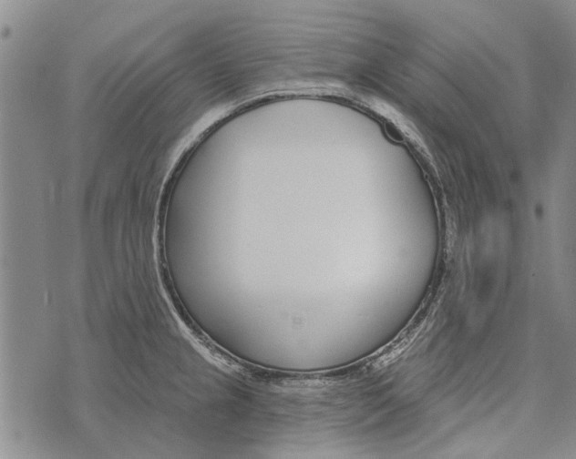 X0000073711237200608311746