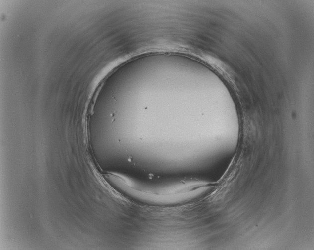 X0000073711238200608311746