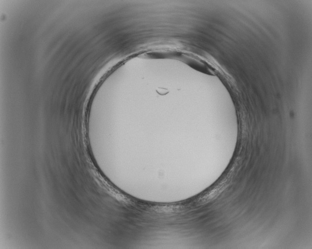 X0000073711240200608311746