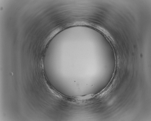 X0000073711241200608311746