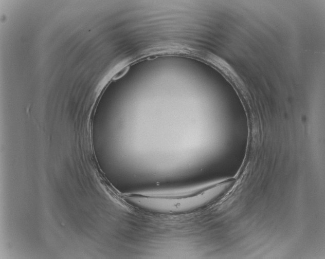 X0000073711242200608311746