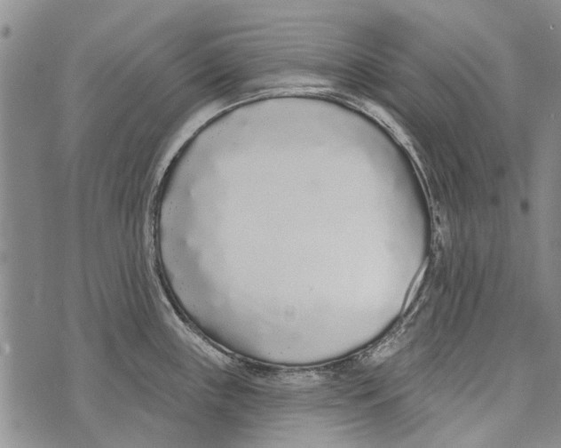 X0000073711243200608311747