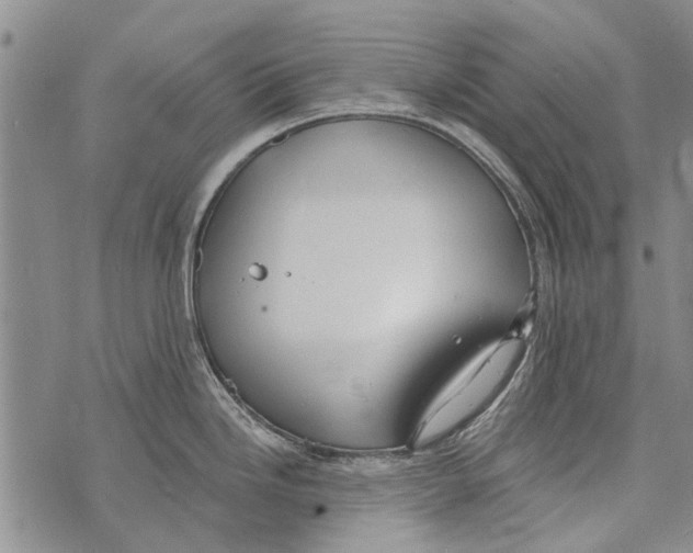 X0000073711246200608311747