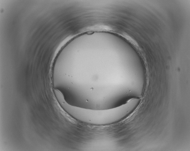 X0000073711248200608311747