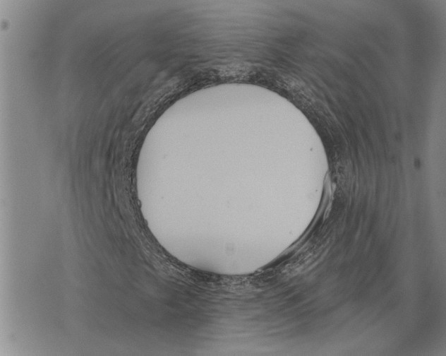 X0000073711249200608311746