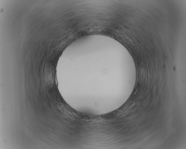 X0000073711250200608311746