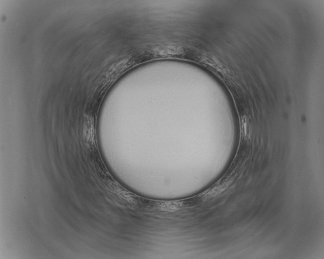 X0000073711251200608311746