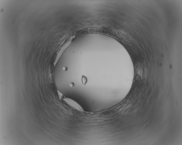 X0000073711252200608311746