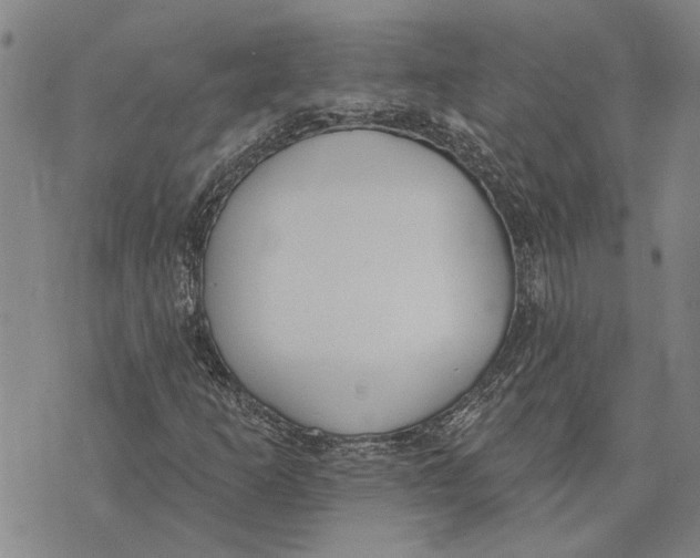 X0000073711253200608311746