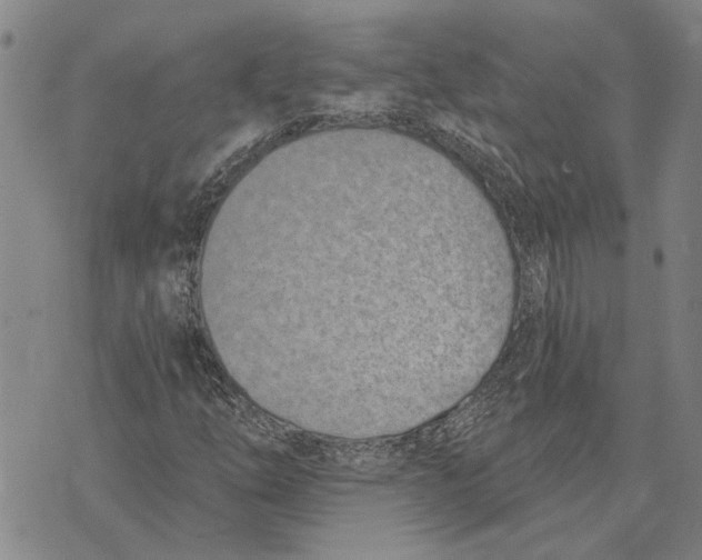 X0000073711254200608311746