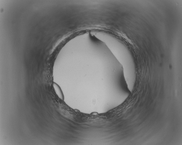 X0000073711256200608311746