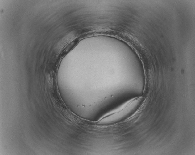 X0000073711257200608311746