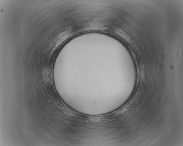 X0000073711258200608311746