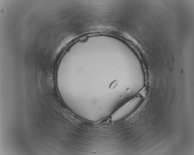 X0000073711259200608311746