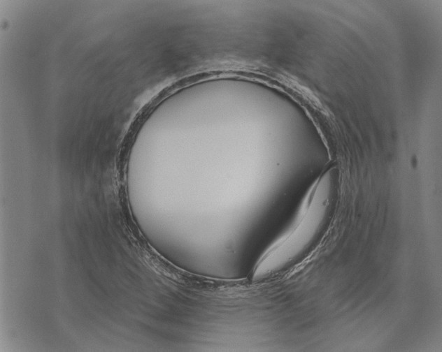 X0000073711264200608311746