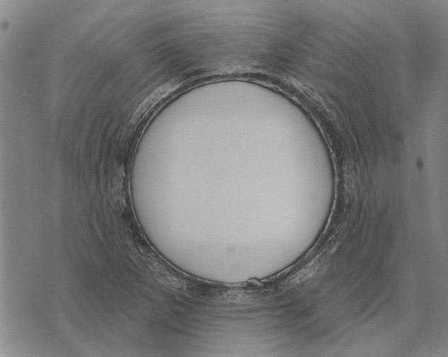 X0000073711265200608311746