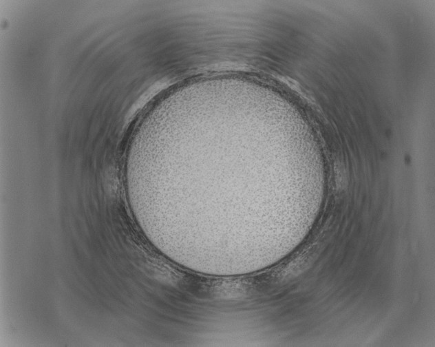 X0000073711266200608311746