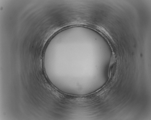 X0000073711268200608311746