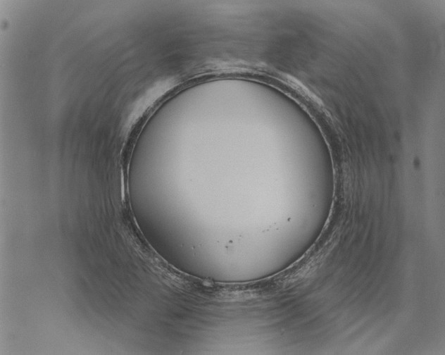 X0000073711269200608311745