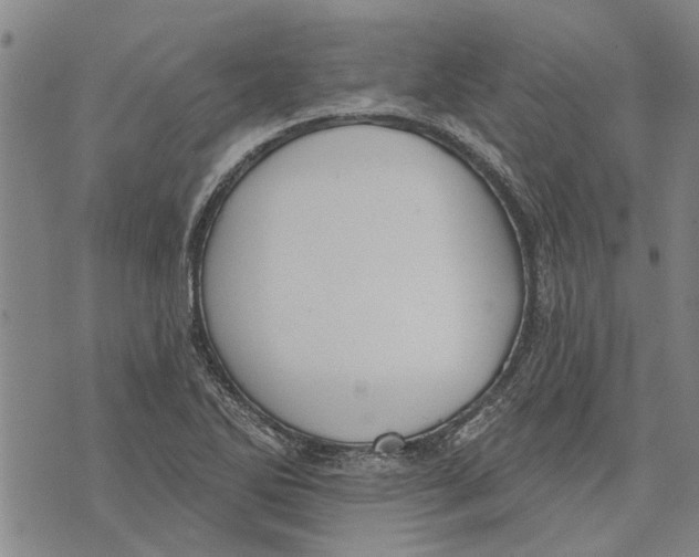 X0000073711270200608311745