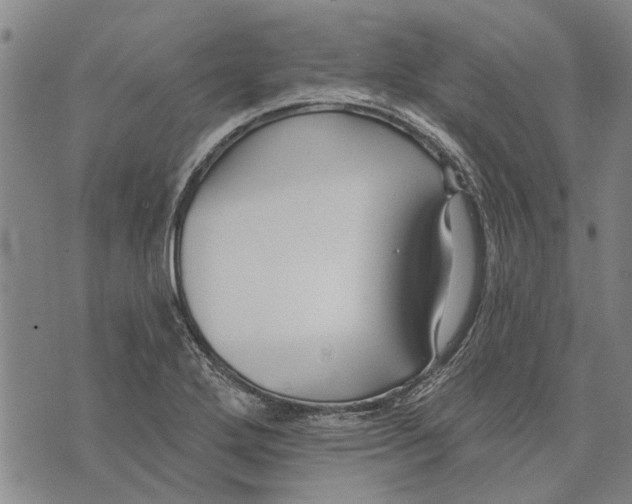 X0000073711272200608311745