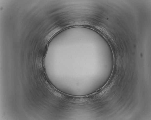 X0000073711273200608311745