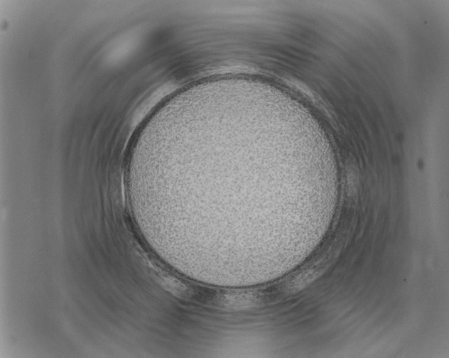 X0000073711274200608311745