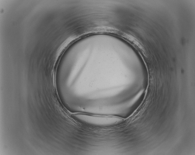 X0000073711275200608311745