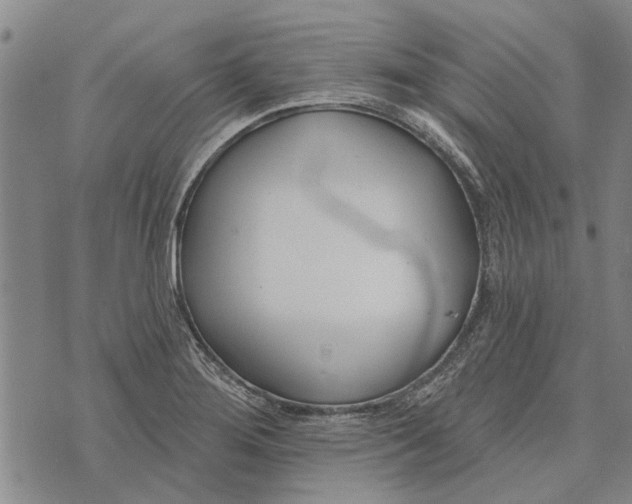 X0000073711276200608311745