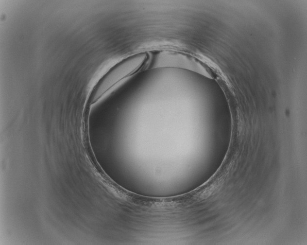 X0000073711277200608311745