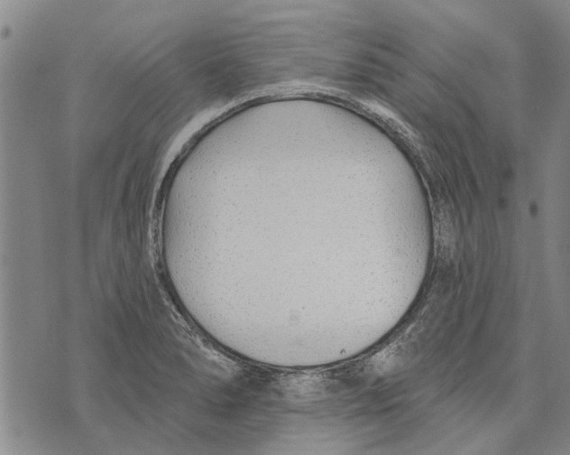 X0000073711278200608311745