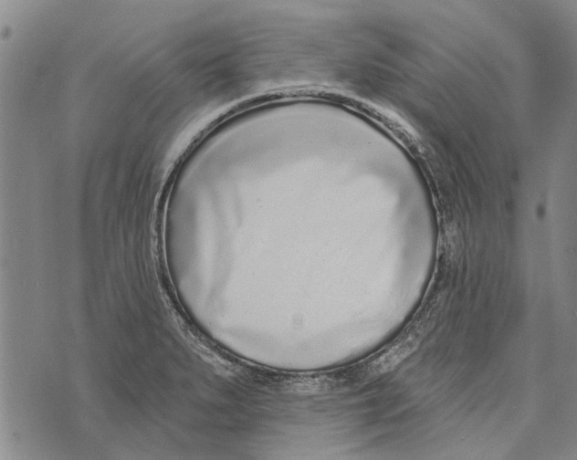 X0000073711279200608311745