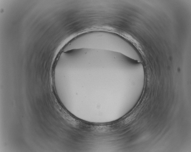 X0000073711280200608311745