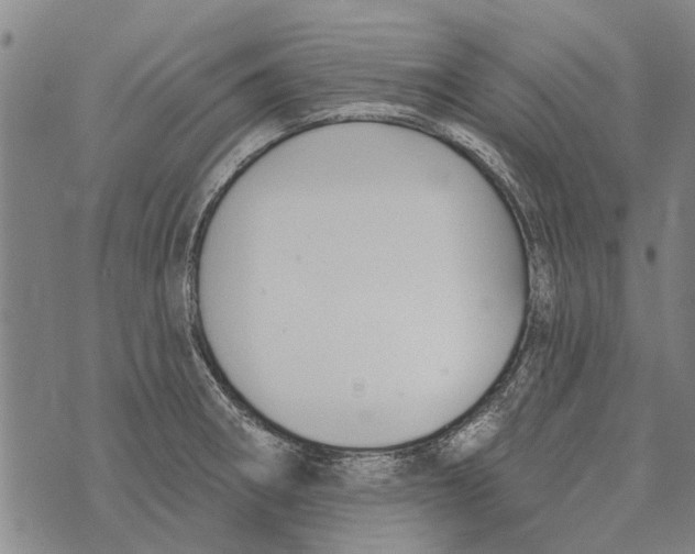 X0000073711282200608311745