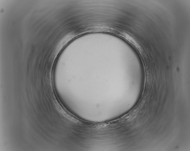 X0000073711283200608311745