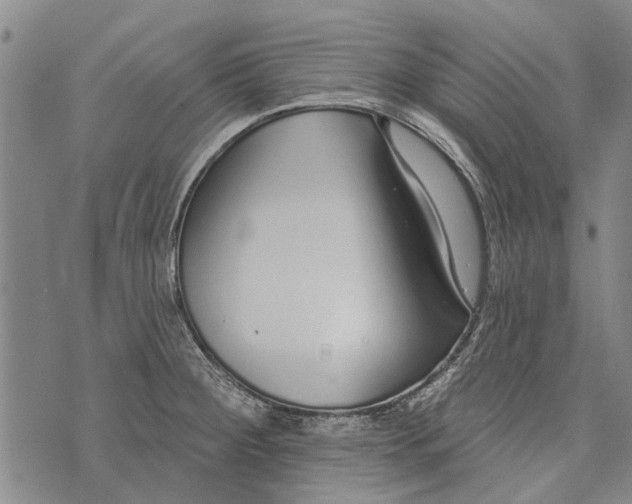 X0000073711284200608311745