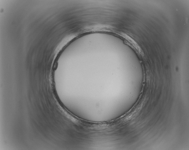 X0000073711285200608311745