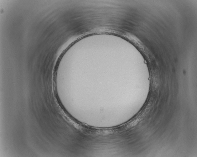 X0000073711286200608311745