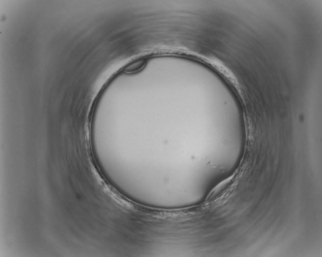 X0000073711287200608311745